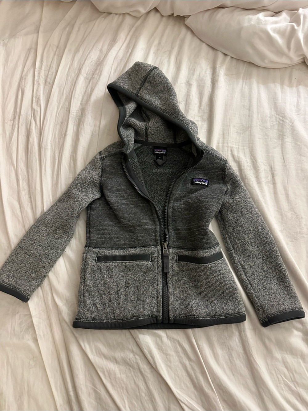 Patagonia Kids Gray Hooded Zip Fleece Jacket Size 3T